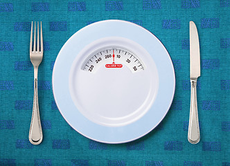 Image showing plate with weighing scale