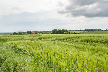 Image showing stormy rural  springtime scenery