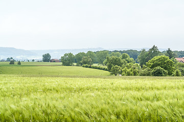 Image showing agricultural springtime scenery