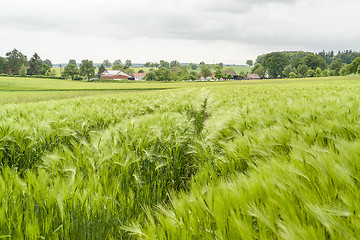 Image showing stormy rural  springtime scenery
