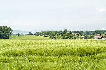 Image showing agricultural springtime scenery