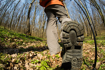 Image showing Close up of hiker shoes boots and hiking sticks poles