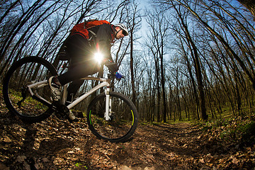 Image showing Cyclist Riding the Bike