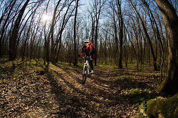 Image showing Cyclist Riding the Bike