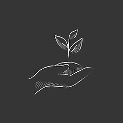 Image showing Hands holding seedling in soil. Drawn in chalk icon.