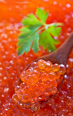 Image showing red salmon caviar