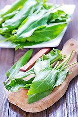 Image showing fresh sorrel