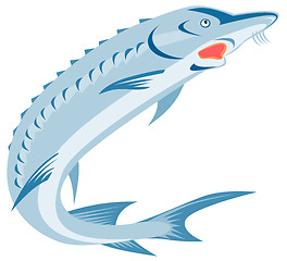 Image showing Sturgeon Fish
