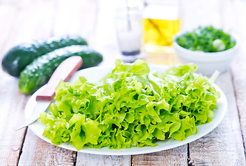 Image showing fresh lettuce