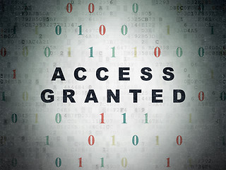 Image showing Privacy concept: Access Granted on Digital Data Paper background