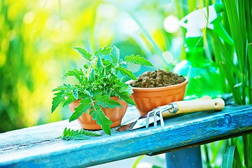 Image showing gardening utensil