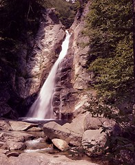 Image showing Roaring Falls