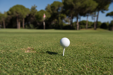 Image showing golf ball on tee