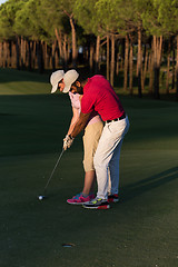 Image showing golf instructions