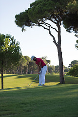 Image showing golf player hitting long shot