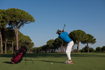 Image showing golf player hitting shot