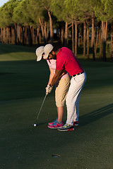 Image showing golf instructions