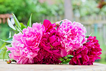 Image showing Pink peony flowers bouquet