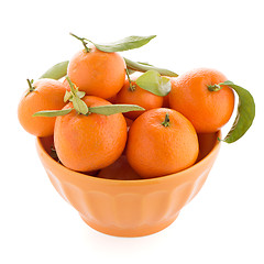 Image showing Tangerines on ceramic orange bowl 