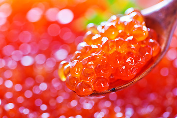 Image showing red salmon caviar