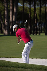 Image showing golfer hitting a sand bunker shot