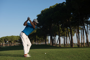 Image showing golf player