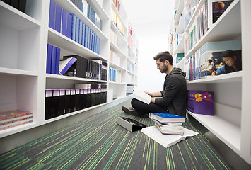 Image showing student study  in school library