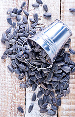 Image showing sunflower seed