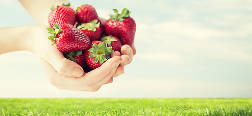 Image showing close up of woman hands holding strawberries