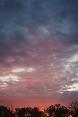 Image showing beautiful clouds at sunset over the forest