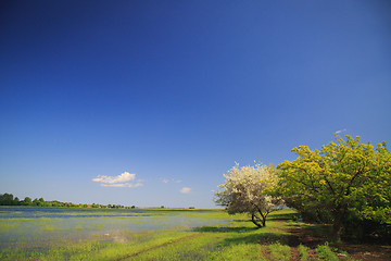 Image showing the river emerged from its banks in the spring