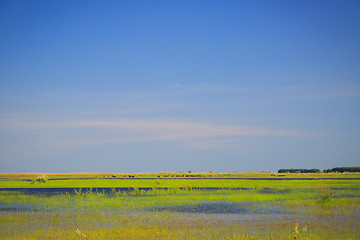 Image showing the river emerged from its banks in the spring