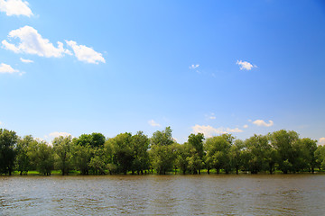 Image showing trees on the river Bank