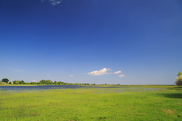 Image showing the river emerged from its banks in the spring