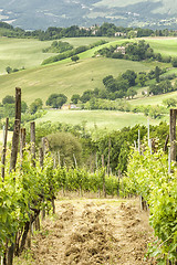 Image showing nice view in Italy Marche near Camerino