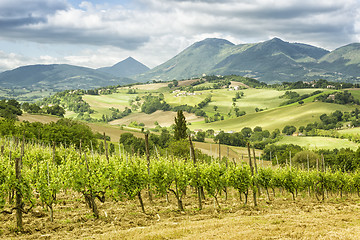 Image showing nice view in Italy Marche near Camerino