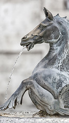 Image showing fountain in Ascoli Piceno