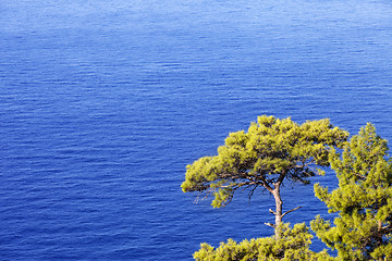 Image showing Top view on blue sunlight sea at sun day