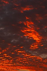 Image showing Sunset sky clouds