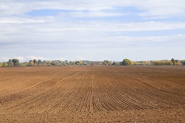 Image showing Agircutural field with brown soil