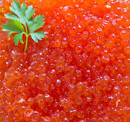 Image showing red salmon caviar