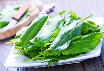 Image showing fresh sorrel