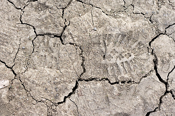 Image showing Close up of cracked dried soil with footprint