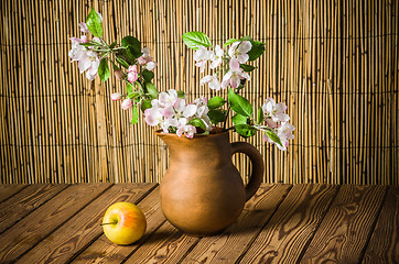 Image showing Ripe apple and blossoming branch of an apple-tree in a clay jar,
