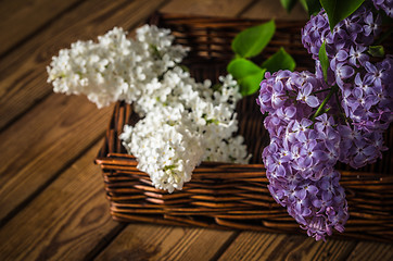 Image showing Still-life with a bouquet of lilac, close up