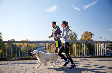 Image showing happy couple with dog running outdoors