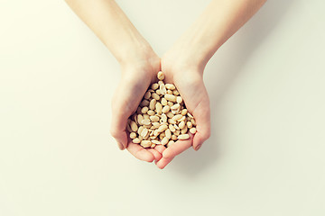 Image showing close up of woman hands holding peeled peanuts