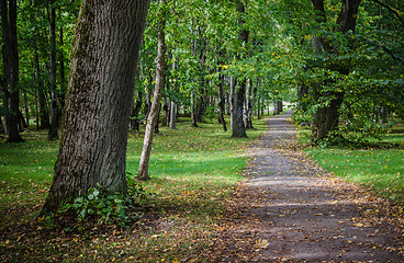 Image showing Alley in old autumn park, autumn landscape