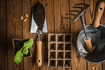 Image showing Still-life with sprouts and the garden tool, the top view