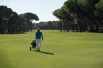 Image showing golf player walking with wheel bag